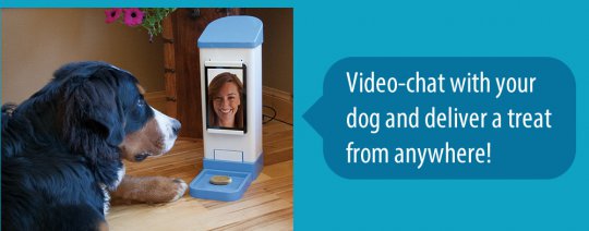 DISPENSADORES DE GOLOSINAS PARA PERROS  CON VIDEO CAMARA 