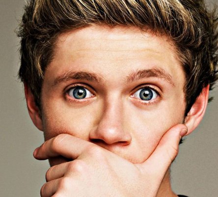 Cuanto conoces a Niall Horan