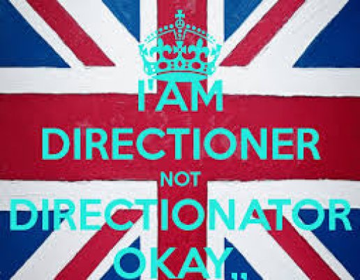 directioner o directionator?