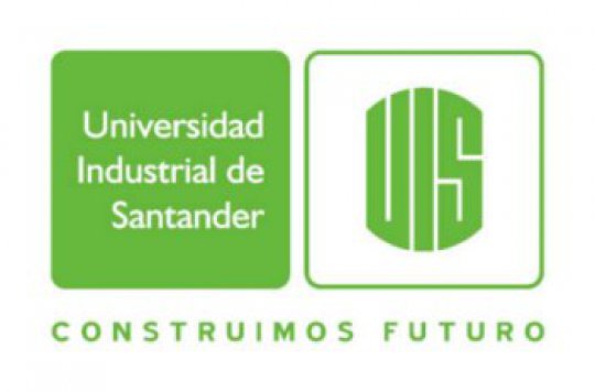 Encuesta Grupo D Nivel I.