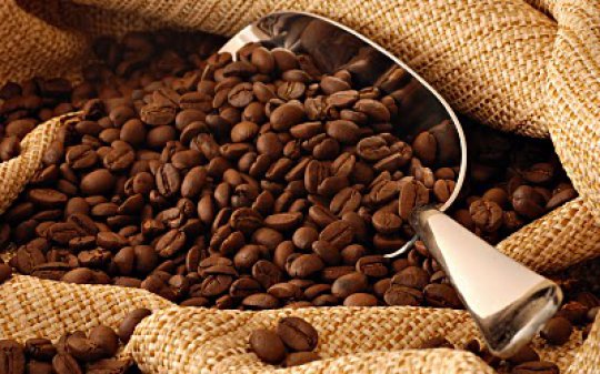 CAFÉ EN GRANO