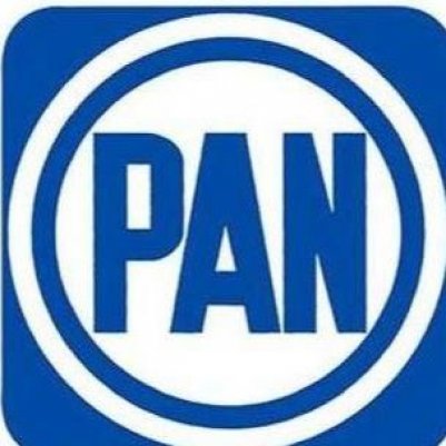 elecciones internas del pan 2014