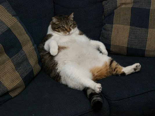 ARE YOU A COUCH POTATO?