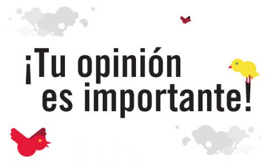 Que opinas de la web