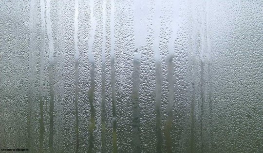 pregunta:lluvia