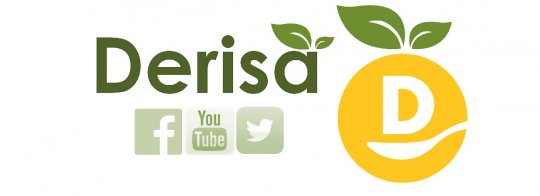 Tendencia de consumo hacia los productos snack de frutas