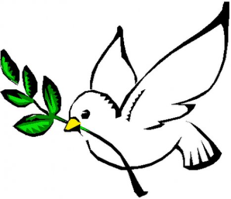 SVD (Santa Voluntad de Dios)