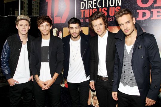 Cuanto sabes de one direction?