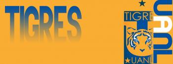 tigres