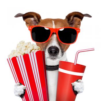 CINE