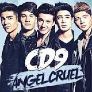 ENCUESTA DE CD9