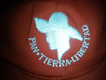 Gobernador PPD 