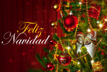 Navidad Especial