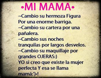 que prefieres 