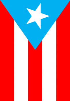 Proceso de Estatus para PR