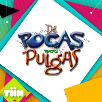 Estreno "De pocas, pocas pulgas" Solo por TiiN