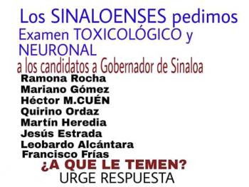 Encuesta candidatos diputado local dtto. 13 Culiacán