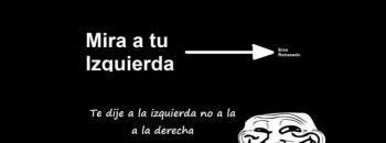 Nose