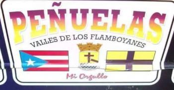 Quien crees tú que ganara la Alcaldía de Peñuelas 