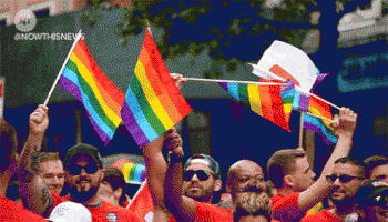 MARCHA LGBTI.