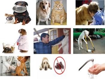 TENENCIA REPONSABLE