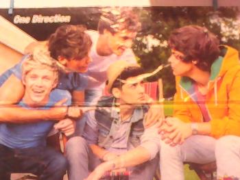 Directioner o fan