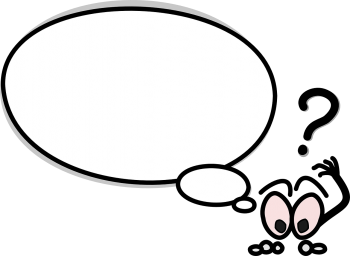 What things are the most important for you in a job?