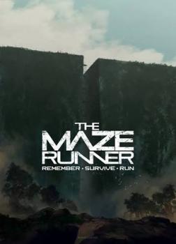 Maze runner