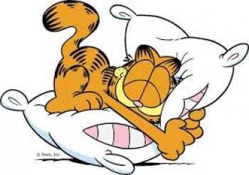 cuanto sabes de garfield