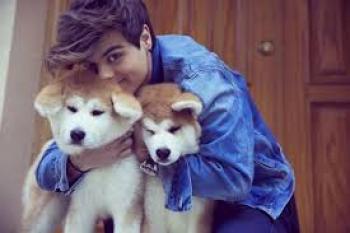 Abraham Mateo Y Su Test 