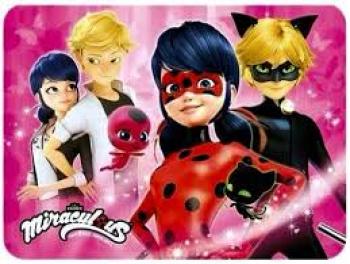 cuanto sabes de lady bug y cat noir