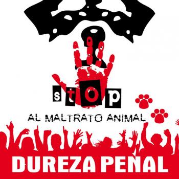 NO AL MALTRATO ANIMAL