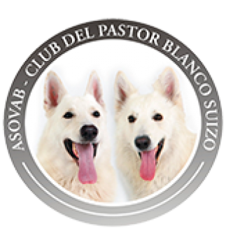 Pastor Blanco Suizo