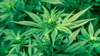Legalización dela marihuana
