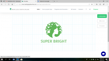 CHAMPU SUPER BRIGHT 