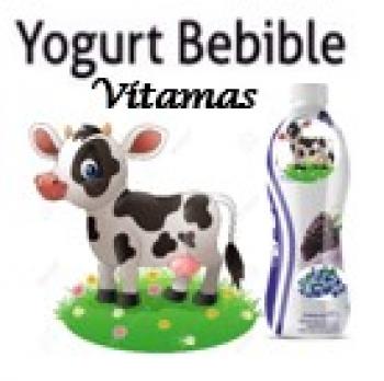 YOGURT BEBIBLE CON STEVIA DE ARANDANOS Y MORA 