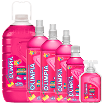 PRODUCTOS DE ASEO EN HOGARES