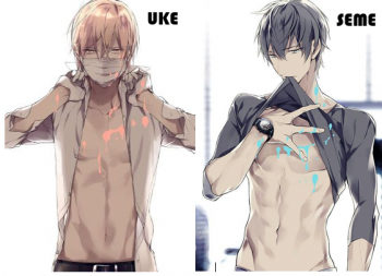 Eres uke o seme