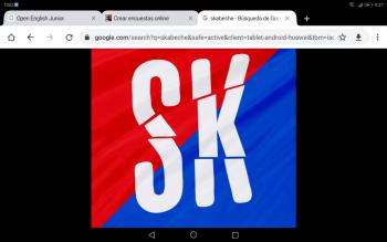 Cuanto sabes de skabeche 